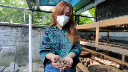 Budidaya Porang, Petani Milenial Ini Raup Puluhan Juta Sekali Panen