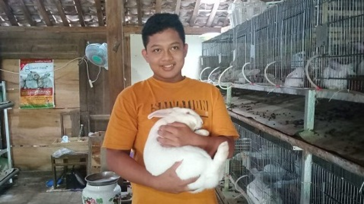 Isi Waktu DiSela Sekolah Daring, Anak SMP Ini Hasilkan Jutaan Dari Beternak Kelinci
            - galeri foto