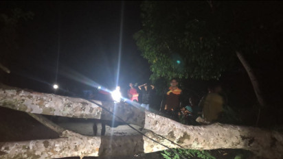 Dua Nagari Gelap Gulita setelah Satu Pohon Tumbang 
