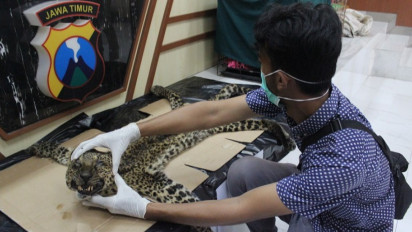 Jual Macan Tutul dan Bayi Lutung, Polda Jatim Bekuk Sindikat Perdagangan Satwa Langka