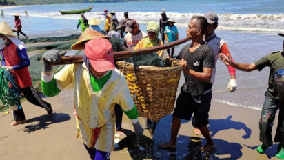 BMKG: Ada Potensi Gempa Besar Magnitudo 8,7 Hingga Berdampak Tsunami di Tulungagung, Jawa Timur