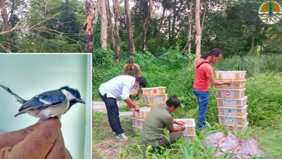 Balai Besar KSDA Riau Lepasliarkan Ratusan Burung Hasil Penyelundupan