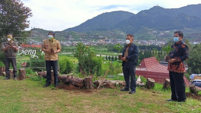 Cegah Erosi, Dataran Tinggi Dieng Ditanami Ratusan Bibit Kopi