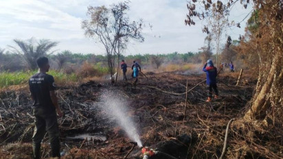 BPBD Kesulitan Atasi Kebakaran Lahan Gambut di Aceh Barat