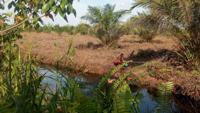 Sumur Bor Antisipasi Karhutla di Riau Rusak Akibat Pembukaan Lahan Ilegal