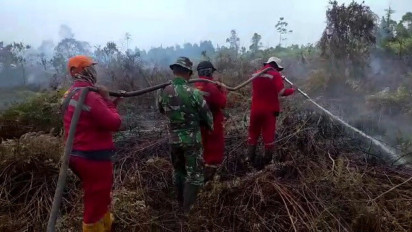 Total 174 Hektar Lahan Terbakar di Dumai