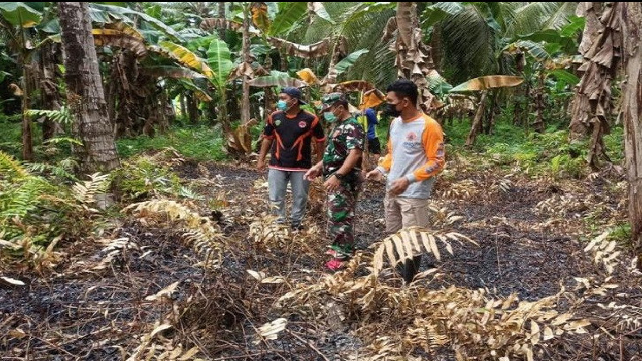 Tim Gabungan BPBD Penajam Paser Utara Kaltim Pastikan Titik Api di Babulu Padam
            - galeri foto