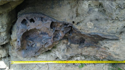 Wouw, ITB Pastikan Keberadaan Hewan Purba di Waduk Saguling