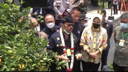 Dorong Ekspor Jeruk Tiga Kali Lipat, Mentan Targetkan Bantu 1 Juta Bibit 