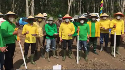 Tingkatkan Ketahanan Pangan Nasional Bakrie Group Plantation Tanam Padi Gogo