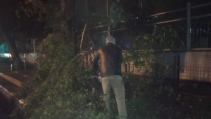 Cuaca Ekstrem Terjang Kota Bandung, 4 Pohon Tumbang