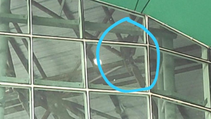 Ketika Monyet Masuk Kampus