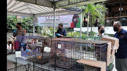 Polisi dan BKSDA Yogyakarta Bekuk Pelaku Perdagangan Satwa Dilindungi