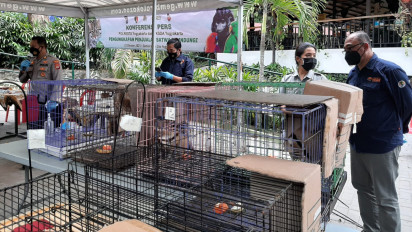 Polresta dan BKSDA Yogyakarta Ungkap Penjualan Satwa Dilindungi Via Online