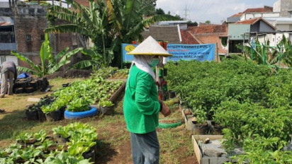 Keren, Warga Kota Malang Produksi Sendiri Sayur Mayur Lewat Urban Farming