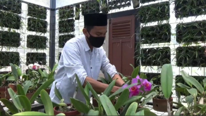 Mantap, Santri di Kota Batu Sukses Budidaya Anggrek