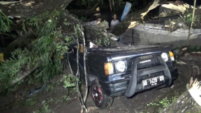 Angin Puting Beliung Terjang Ngawi, Pohon Timpa Rumah dan Mobil