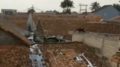 Lutung Jawa Berkeliaran di Permukiman Bikin Resah Warga