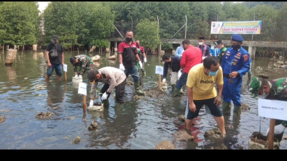 Peringati Hari Sumpah Pemuda, 3000 Warga Sibolga Tanam Mangrove