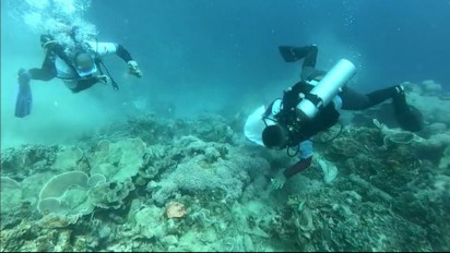 Aksi Bersih Sampah Bawah Laut Warnai Peringatan Hari Sumpah Pemuda di Gorontalo