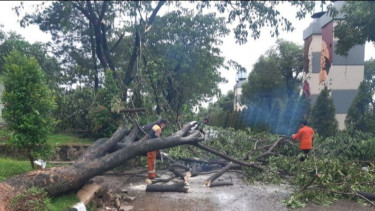 Diguyur Hujan Deras Sejak Siang, Bogor Dikepung 25 Titik Bencana