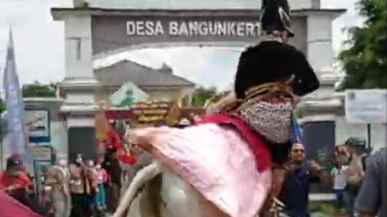 Waduh, Sapi Tunggangannya Mengamuk Putra Bupati Sleman Jatuh Terpental
            - galeri foto