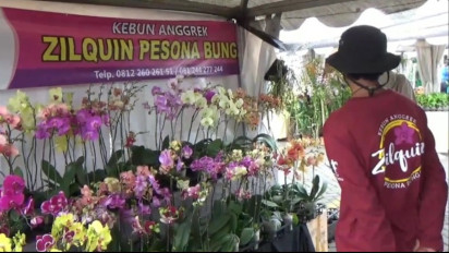 Dongkrak Wisatawan, Puluhan Jenis Anggrek Dipamerkan di Kota Wisata Batu