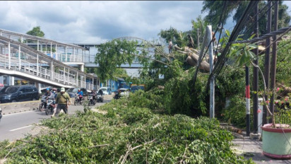 Dua Pohon Beringin di Otista Tumbang Timpa Mobil dan Belasan Motor