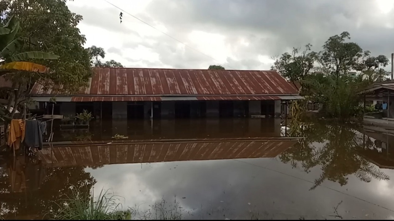 Deforestasi Hutan Penyebab Banjir di Kalimantan Barat
            - galeri foto