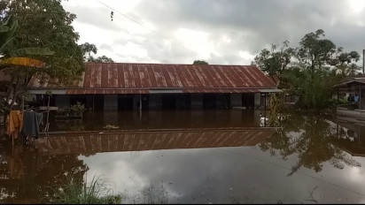 Deforestasi Hutan Penyebab Banjir di Kalimantan Barat