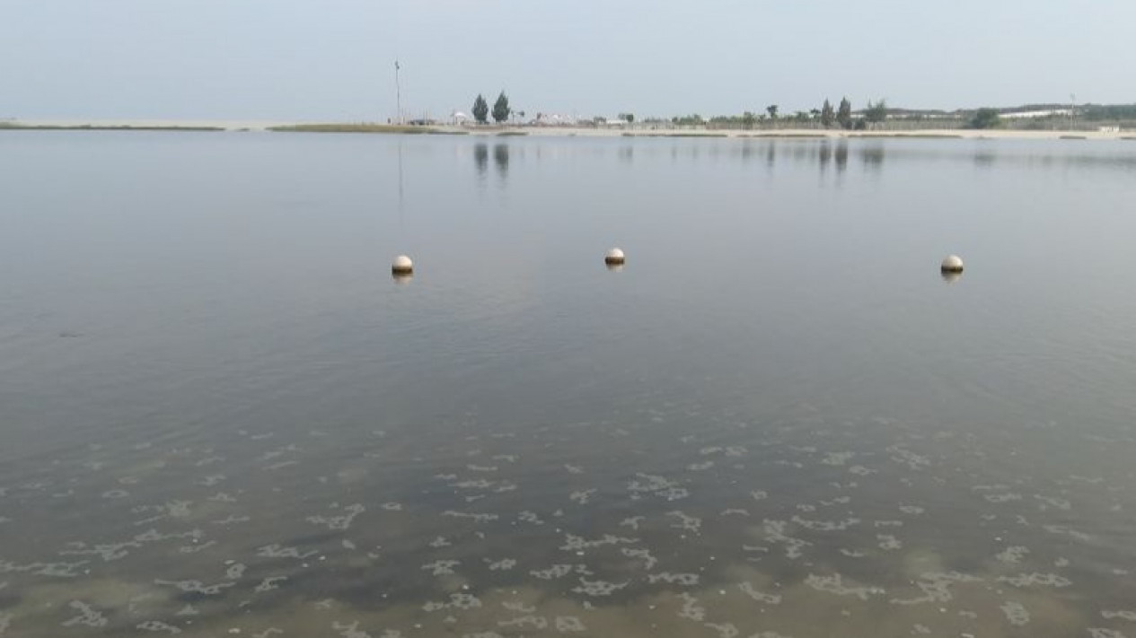 Pemprov DKI Ancam Cabut Izin Pabrik yang Cemari Teluk Jakarta
            - galeri foto