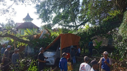 Beringin 100 Tahun Tumbang, Satu Mobil Ringsek Tertimpa