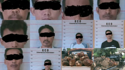 Lagi, Polsek Arut Utara, Kotawaringin Barat, Kalimantan Tengah, Tangkap 10 Orang Tersangka Pencurian Buah Kelapa Sawit