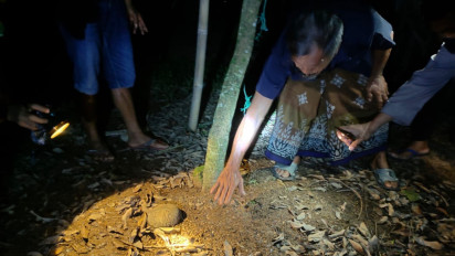 Warga Temukan Bayi Sehat di Bawah Pohon Kelengkeng