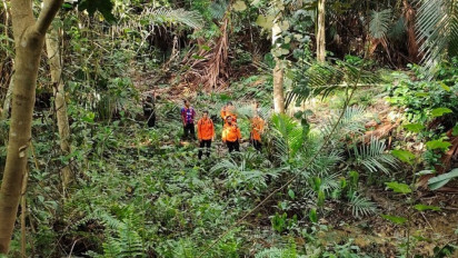 Seorang Kakek di Konawe Hilang Di Hutan Setelah Mendatangi Kebun Sagu Miliknya
