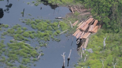 Patroli Udara, Kapolda Riau temukan aktivitas Ilegal Logging Masih Masif