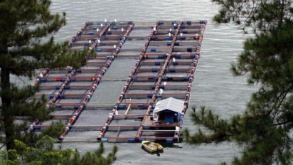 Kemenko Marves: Keramba di Danau Toba Perlu Diatur