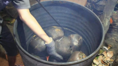 Sensasi Minuman Kelapa Bakar, Kaya Rempah Penambah Imun dan Stamina