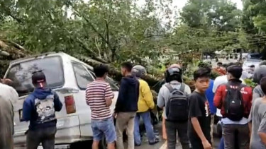 1 Tewas, 3 Luka-Luka Akibat Pohon Tumbang Yang Menimpa Mobil Angkot di Jalur Trans Sulawesi, Makale Utara, Kabupaten Tana Toraja