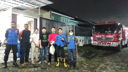 Petugas Damkar Terluka Digigit saat Evakuasi Musang di Atap Rumah Warga