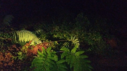 BPBD Sebut 122 Titik Rawan Tanah Longsor di Bengkulu