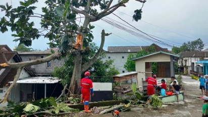 Hujan Disertai Angin Terjang Wilayah Sleman, Tumbangkan Sejumlah Pohon