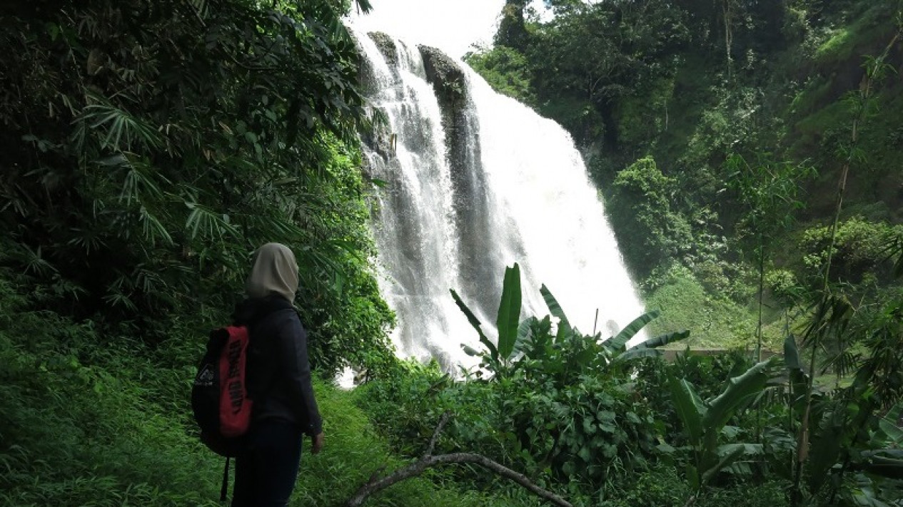 Mengenal Sosok Legenda Nyi Blorong sambil Menikmati Pesona Curug Caweni, Air Terjun Cantik di Kabupaten Sukabumi
            - galeri foto