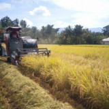 Perhimpunan Mahasiswa Katolik Soroti Sistem Pangan Nasional, Sebut Masih Temukan Kerentanan