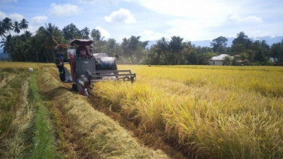 Perhimpunan Mahasiswa Katolik Soroti Sistem Pangan Nasional, Sebut Masih Temukan Kerentanan