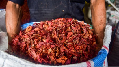 Kemendikbudristek Berniat Mendorong Eksplorasi Rempah Untuk Kesehatan