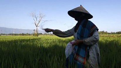 Evaluasi Program Penyediaan Pupuk Bagi Petani