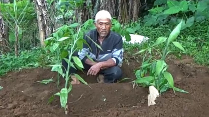 Tiga dari Empat Bayi Kembar yang Dilahirkan Warga Bandung Barat Meninggal Dunia