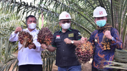 Pemprov Riau Pertahankan Produksi Sawit untuk Stabilitas Ekonomi