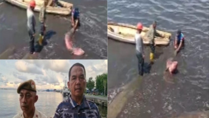 Dramatis, Operasi Penyelamatan Ikan Duyung Personil TNI AL Lantamal VI di Pantai Jalaria Makassar